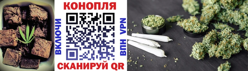 блэк спрут   Барнаул  Cannafood марихуана  наркота 