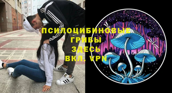 а пвп мука Гусев