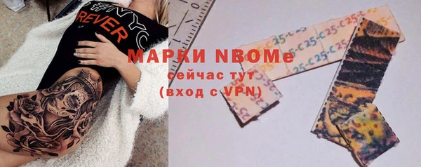 амф Гусиноозёрск