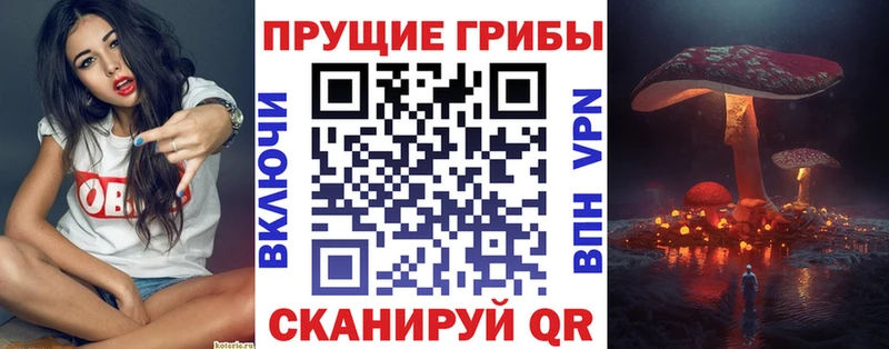 Псилоцибиновые грибы Psilocybe  blacksprut ТОР  Барнаул  где продают наркотики 