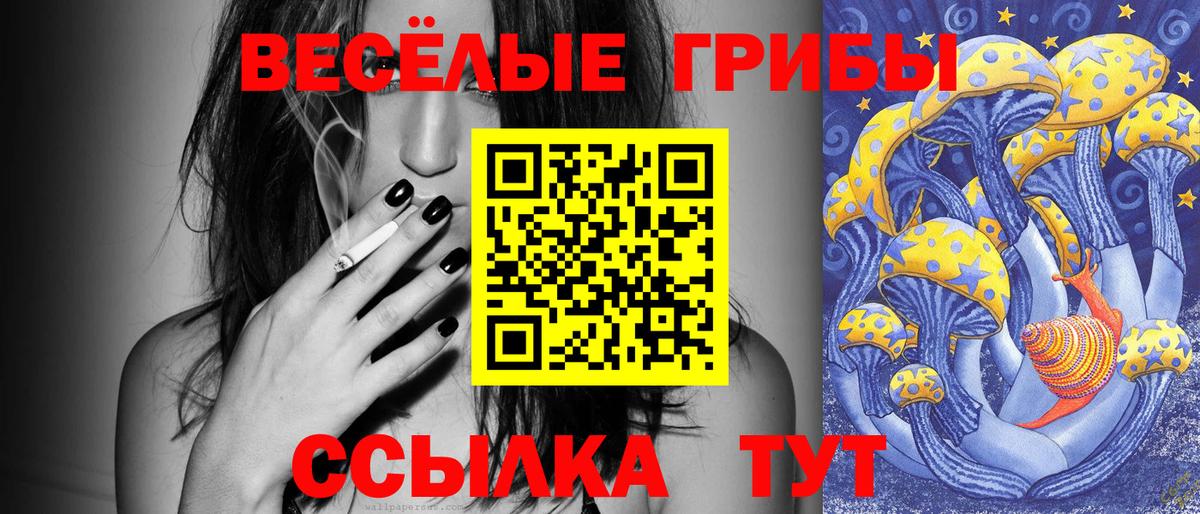 Псилоцибиновые грибы GOLDEN TEACHER Барнаул