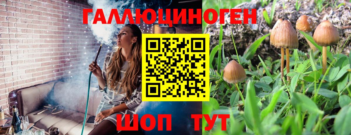 Галлюциногенные грибы GOLDEN TEACHER Барнаул