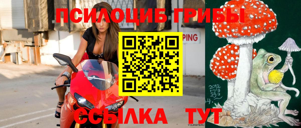 Барнаул  Псилоцибиновые грибы мухоморы  Вход с VPN 