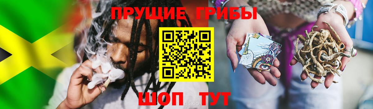 Галлюциногенные грибы мицелий  Галлюциногенные грибы мухоморы  Барнаул 